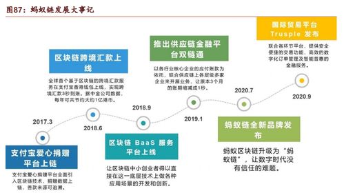 蚂蚁的力量有多大 人工智能基础资源与技术平台的深度解析